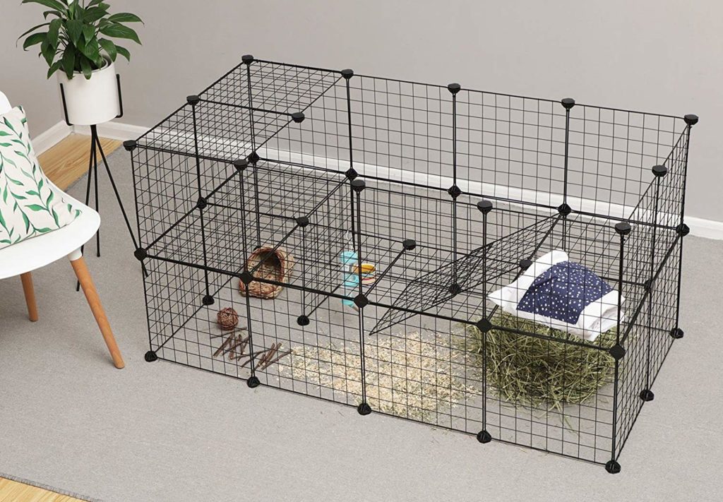 Beginner-Friendly Guinea Pig Cage