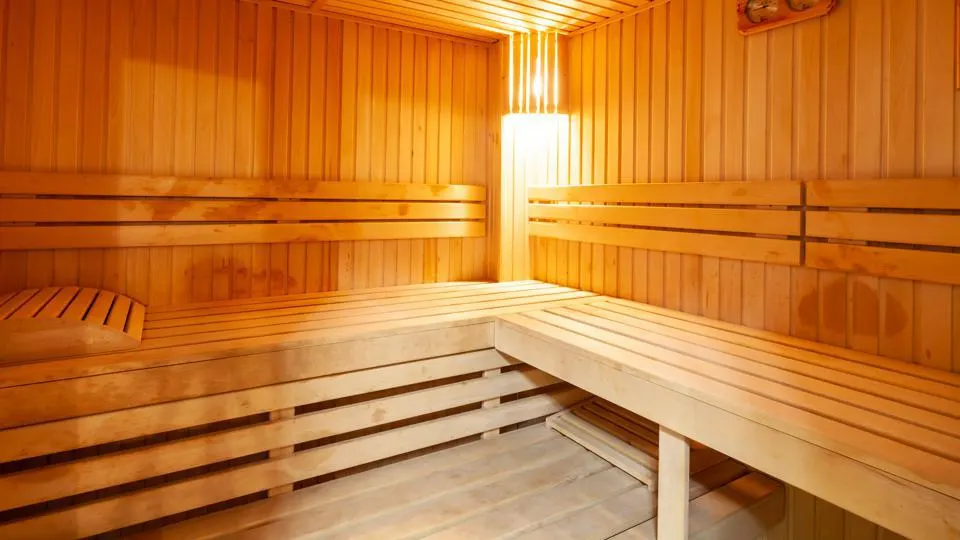 Building a Sauna in the Garage .jpg