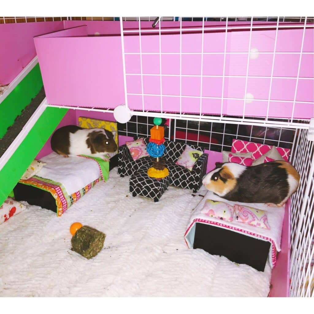 DIY Guinea Pig Dollhouse