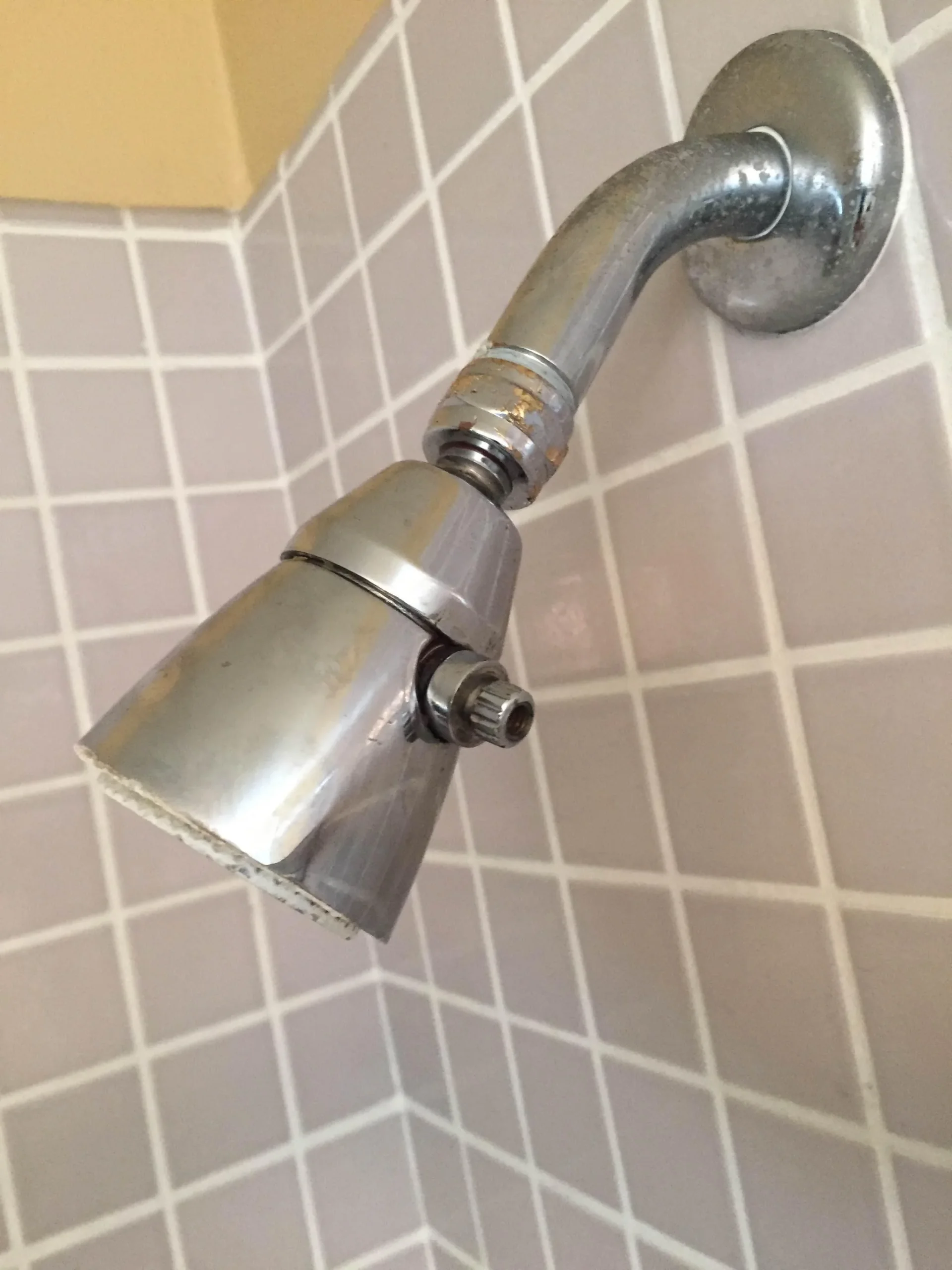 Find out the Reason You Have to Remove the Shower Head .jpg