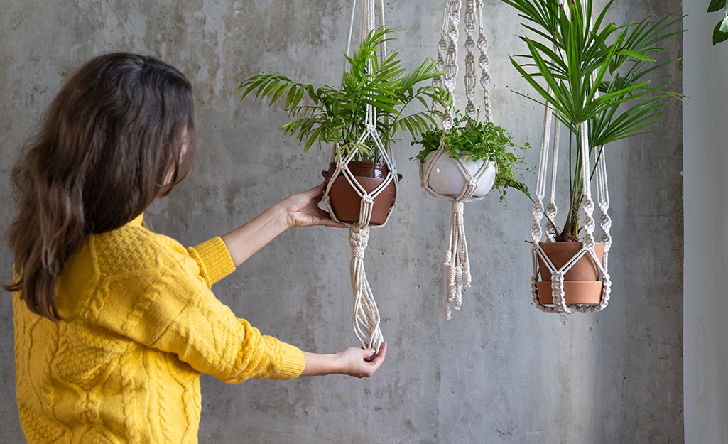 Macrame Plant Holders