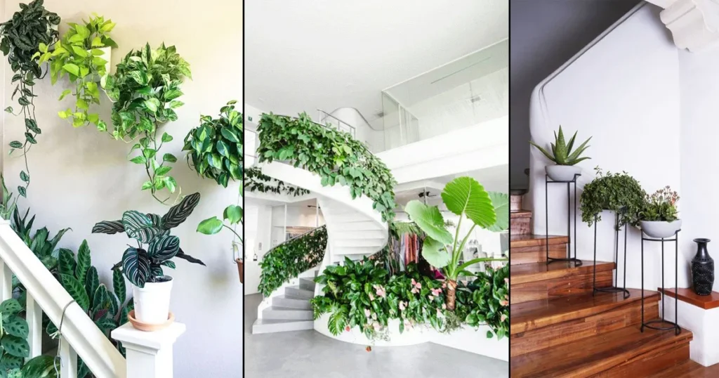Plants in a Space-Saving Staircase. .jpg
