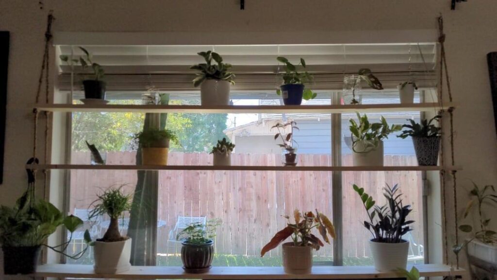 Window Plant Stand