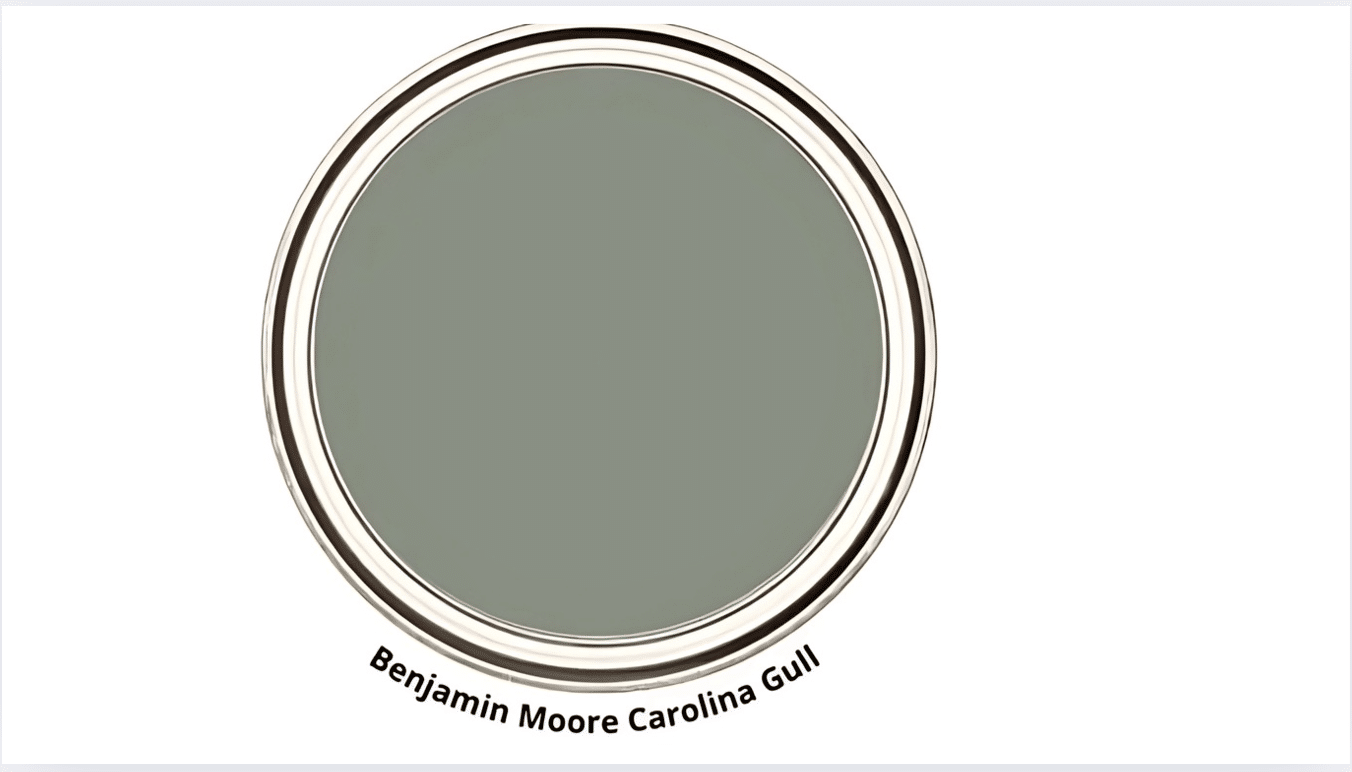 Characteristics_of_Carolina_Gull_Benjamin_Moore