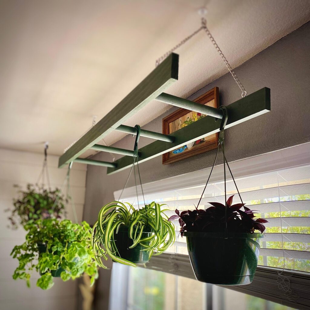 How to Hang Plants Without Drilling
