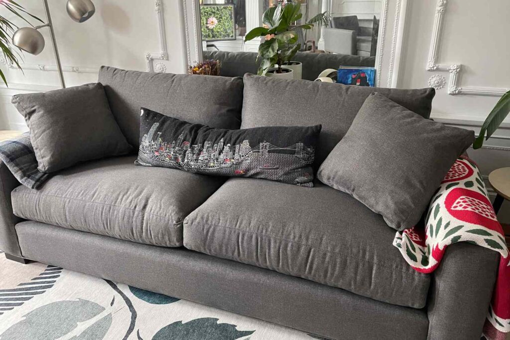 The 14 Best Pet-Friendly Sofas in 2023