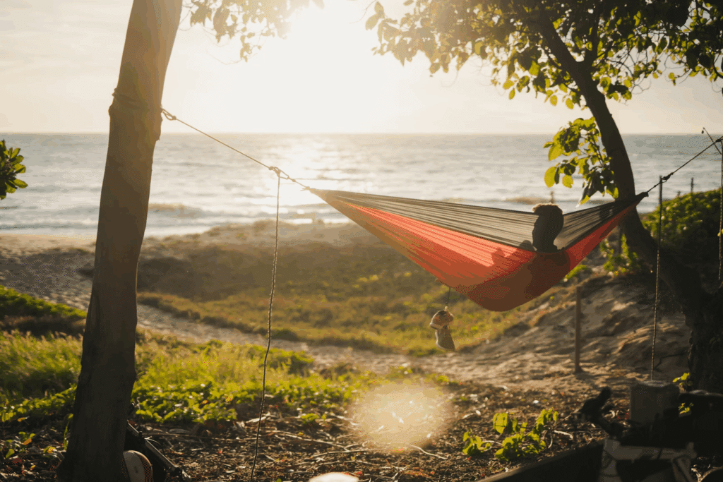 Best Ways to Relax and Enjoy Your Free Time in 2025 - Opple House