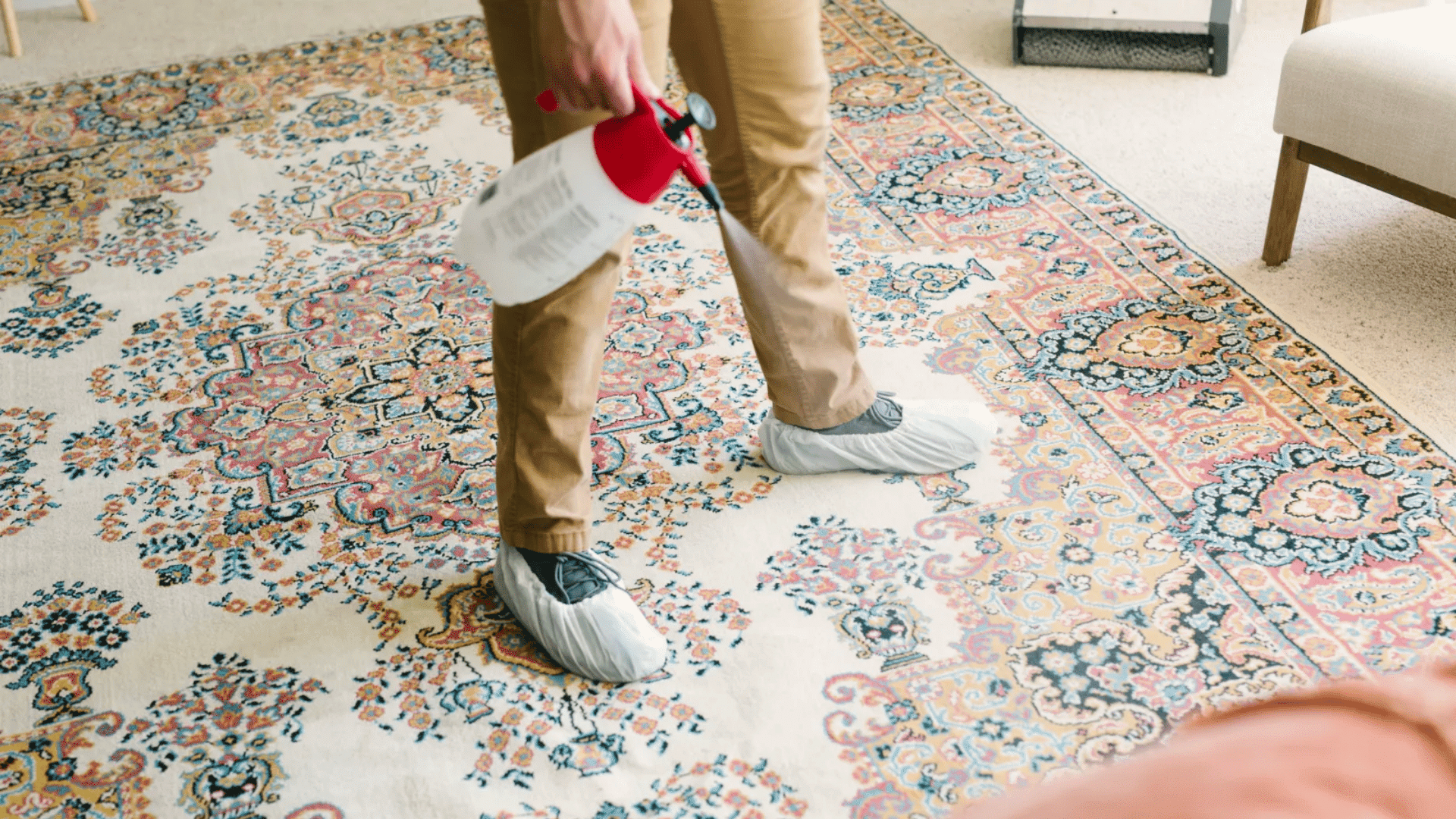 How to Clean a Wool Rug without Damage? - Opple House